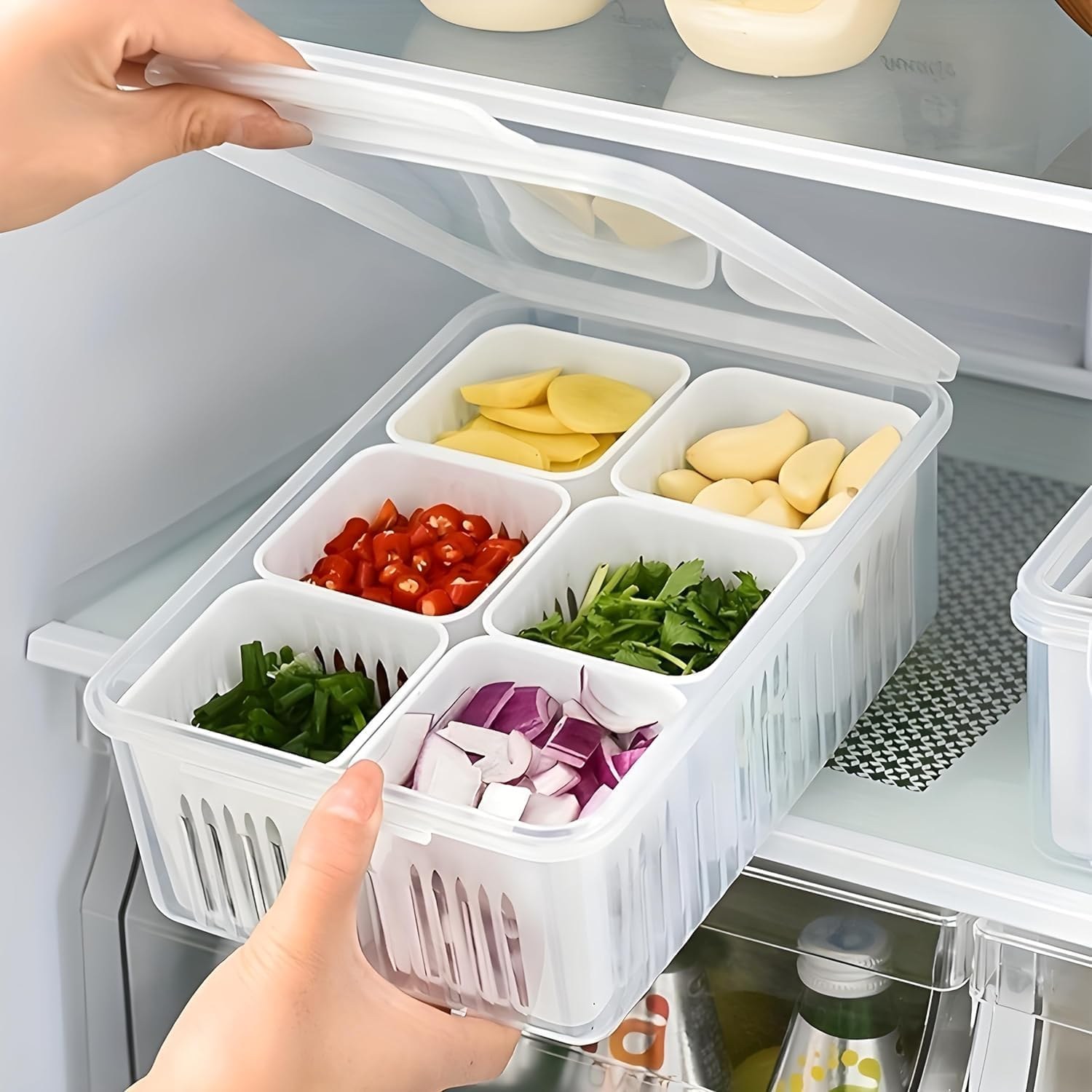 Compartment Fridge Storage Box — Dallas Home