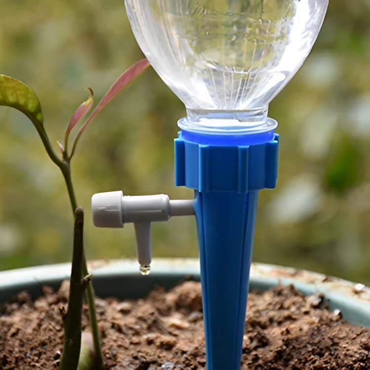 Automatic Plant Water dropper — Dallas Home